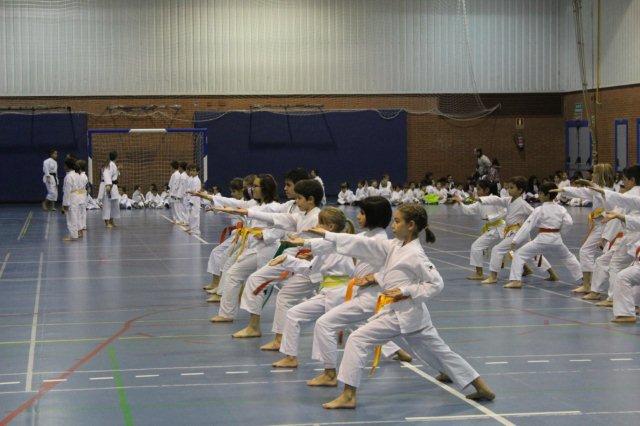 I Karate Para Todos Azuqueca II