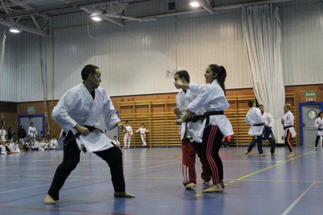 I Karate Para Todos Azuqueca II