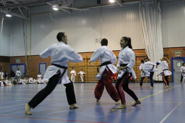 I Karate Para Todos Azuqueca II