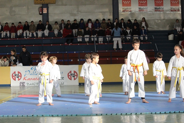 Exhibición Navidad 2013