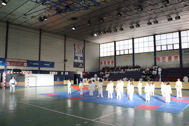 Exhibición Navidad 2013