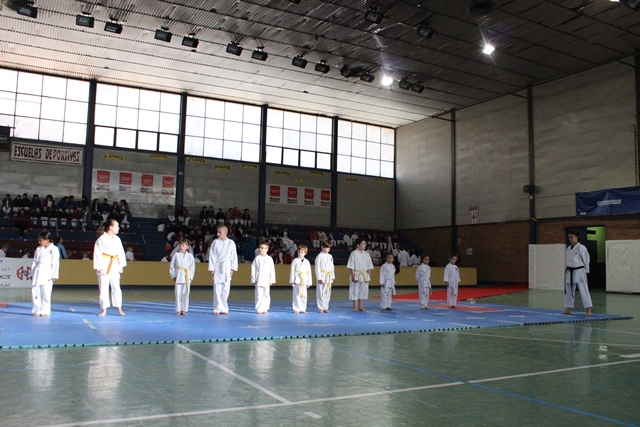 Exhibición Navidad 2013