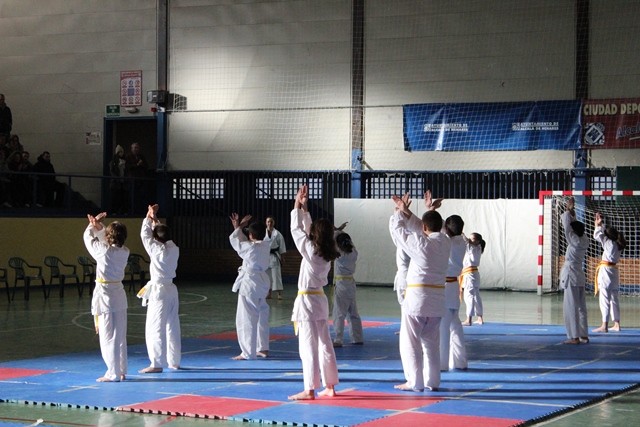 Exhibición Navidad 2013