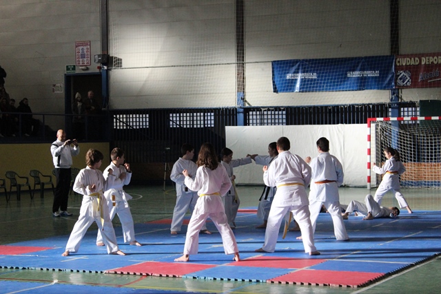 Exhibición Navidad 2013