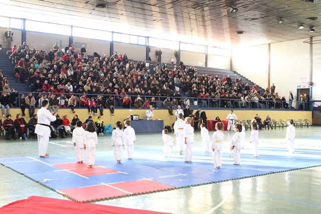 Exhibición Navidad 2013