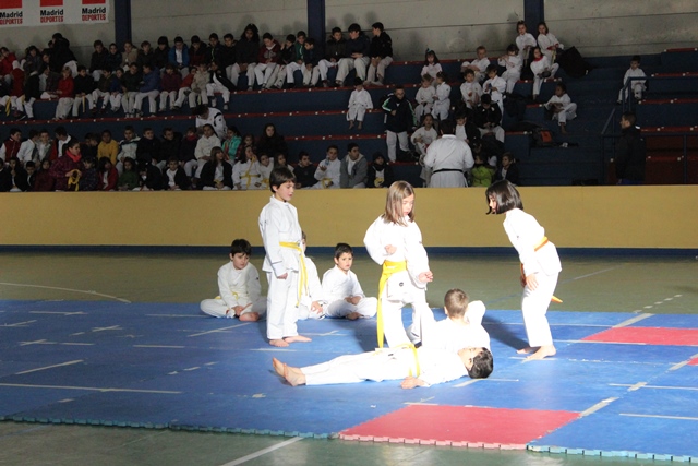 Exhibición Navidad 2013