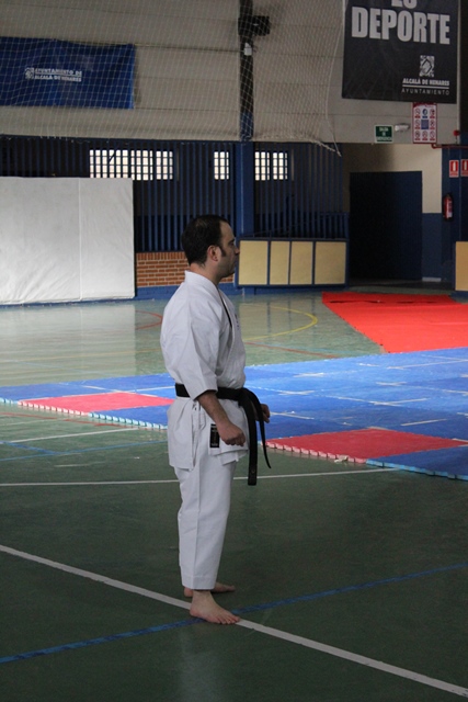 Exhibición Navidad 2013