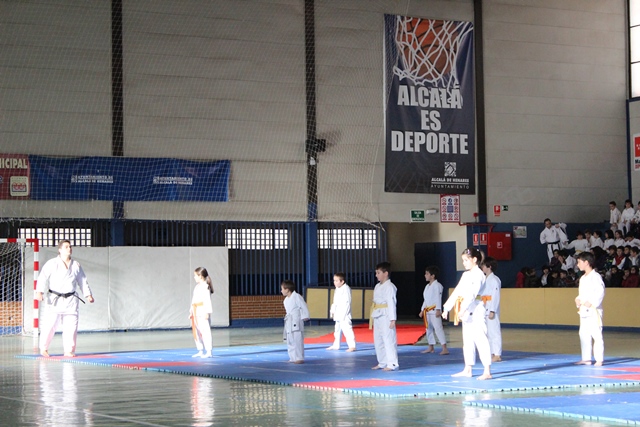 Exhibición Navidad 2013