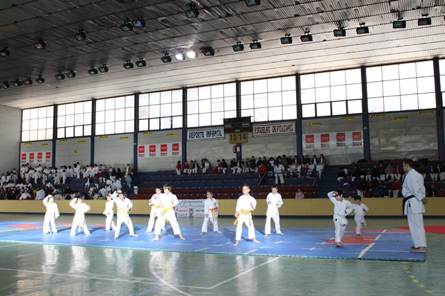 Exhibición Navidad 2013