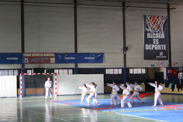 Exhibición Navidad 2013