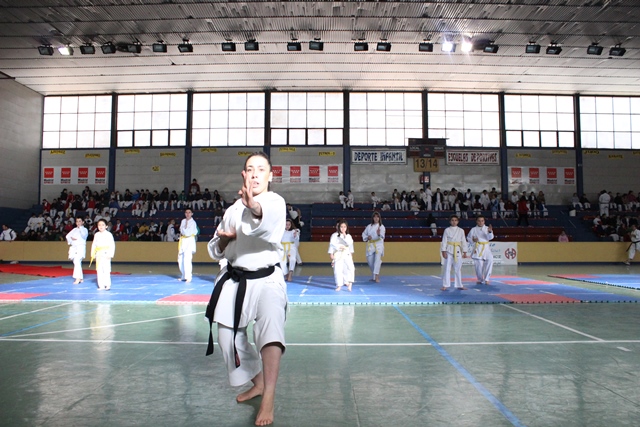 Exhibición Navidad 2013