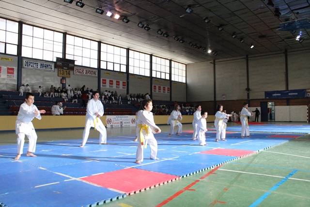 Exhibición Navidad 2013