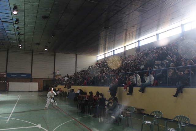 Exhibición Navidad 2013