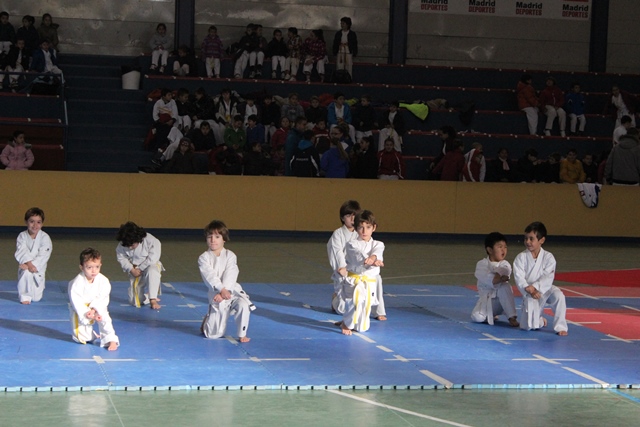 Exhibición Navidad 2013