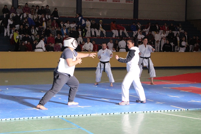 Exhibición Navidad 2013