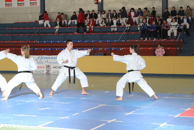 Exhibición Navidad 2013