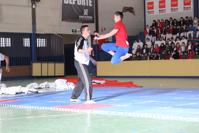 Exhibición Navidad 2013