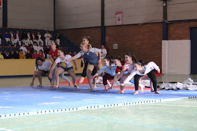 Exhibición Navidad 2013