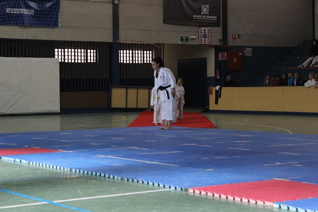 Exhibición Navidad 2013