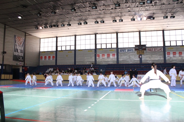 Exhibición Navidad 2013