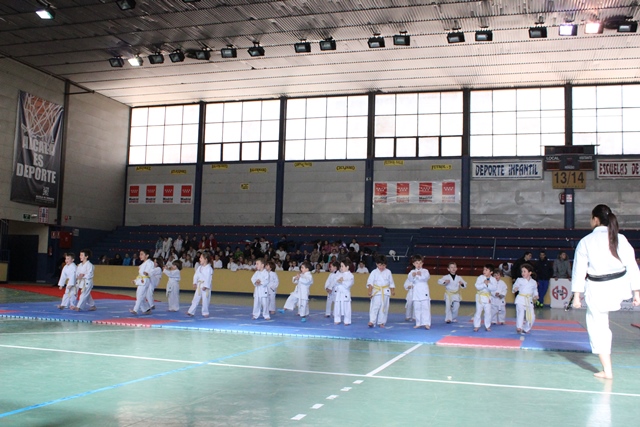 Exhibición Navidad 2013