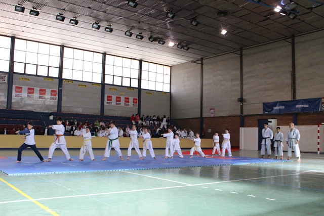 Exhibición Navidad 2013