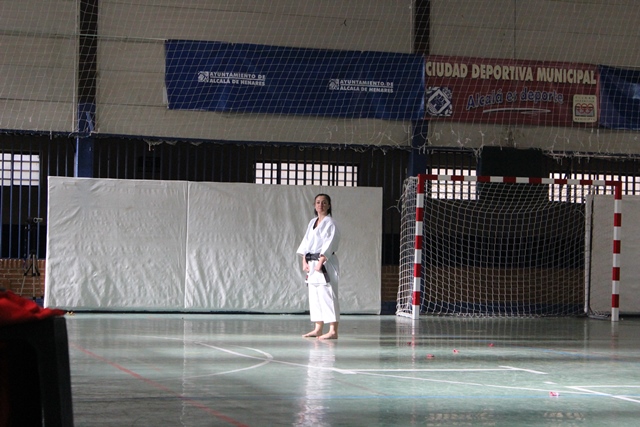 Exhibición Navidad 2013