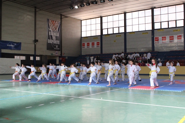 Exhibición Navidad 2013