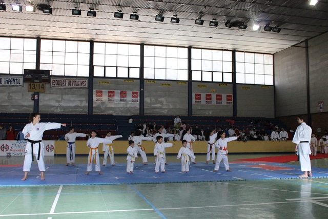 Exhibición Navidad 2013