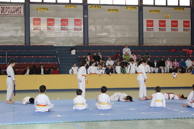 Exhibición Navidad 2013