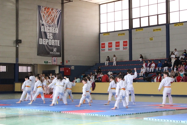 Exhibición Navidad 2013