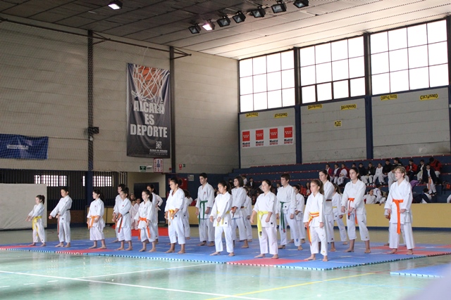 Exhibición Navidad 2013