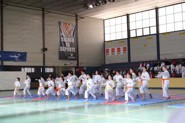 Exhibición Navidad 2013