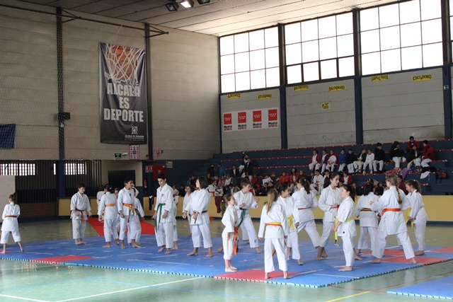 Exhibición Navidad 2013