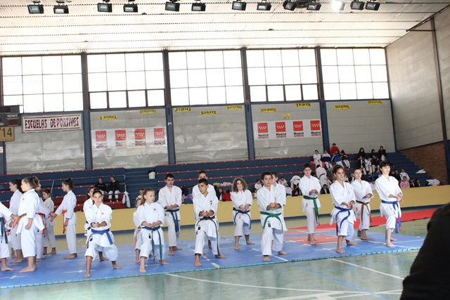 Exhibición Navidad 2013