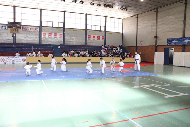 Exhibición Navidad 2013