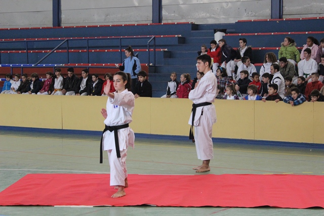 Exhibición Navidad 2013