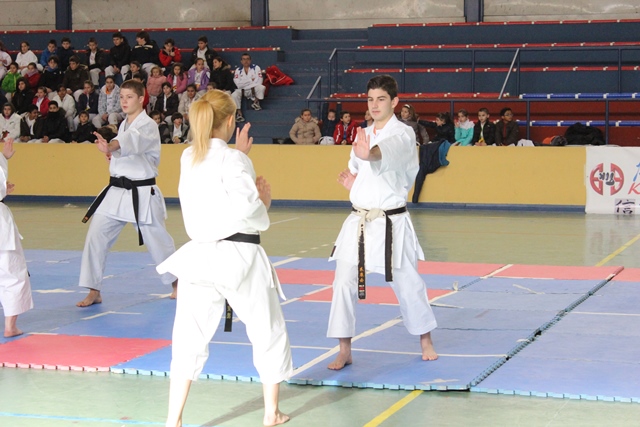 Exhibición Navidad 2013