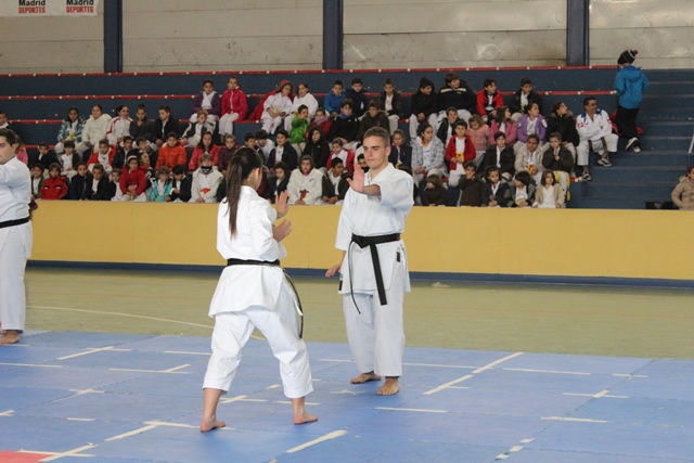 Exhibición Navidad 2013