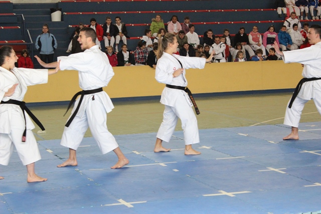 Exhibición Navidad 2013