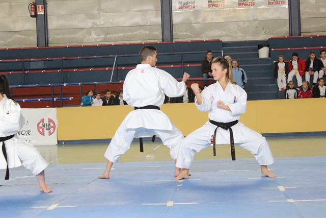 Exhibición Navidad 2013