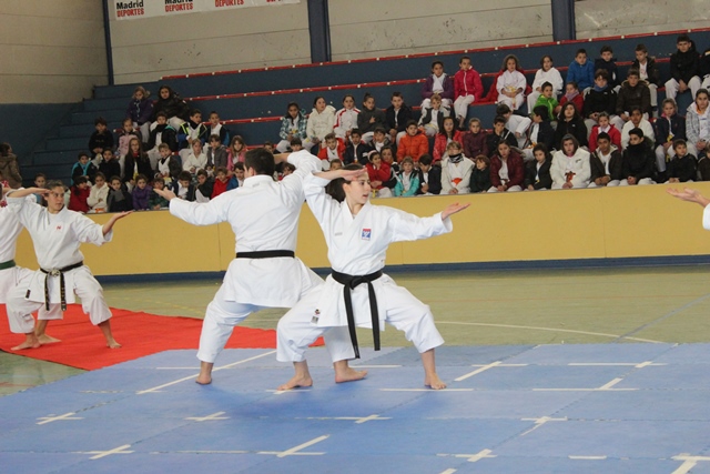 Exhibición Navidad 2013