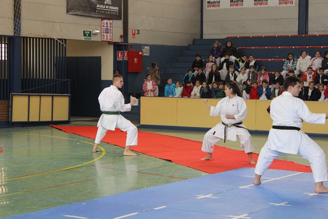 Exhibición Navidad 2013