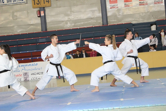 Exhibición Navidad 2013