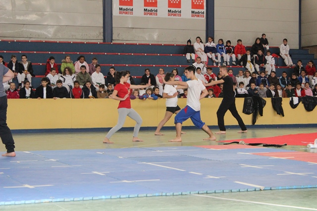 Exhibición Navidad 2013