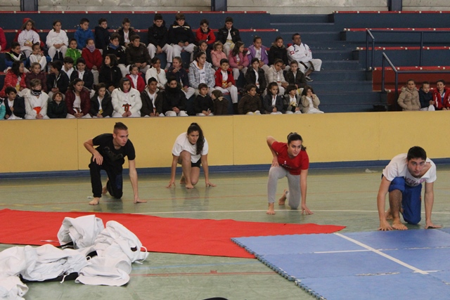 Exhibición Navidad 2013